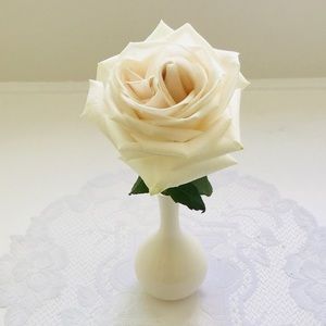 Meet your Posher, Anne